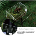 Acrylic Clear Reptile Habitat Enclosure
