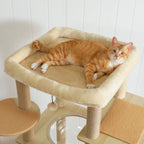 Multi-Level Cat Tree