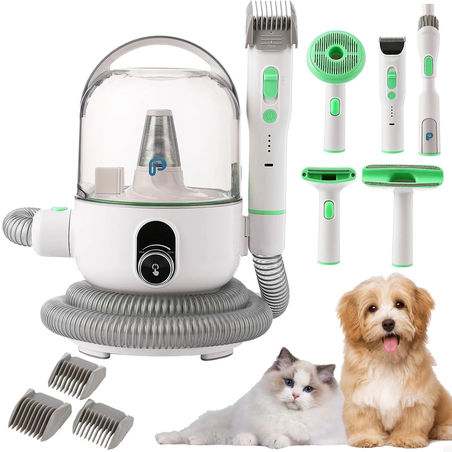 Professional Quiet Dog Grooming