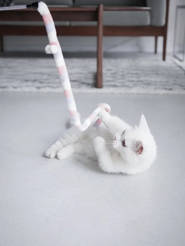 Cat Toy Teaser Wand