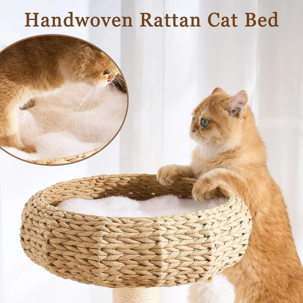 Luxury Solid Wood Cat Tower