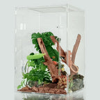 Reptile Tank 10 Gallon
