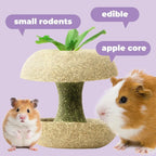 Apple Core Shaped Hamster Chew Toy