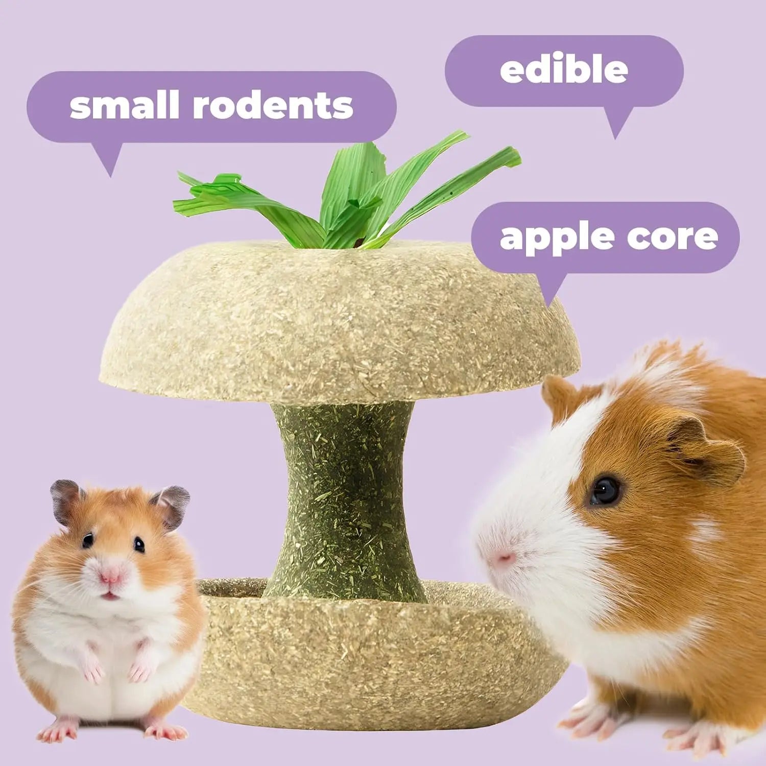Apple Core Shaped Hamster Chew Toy