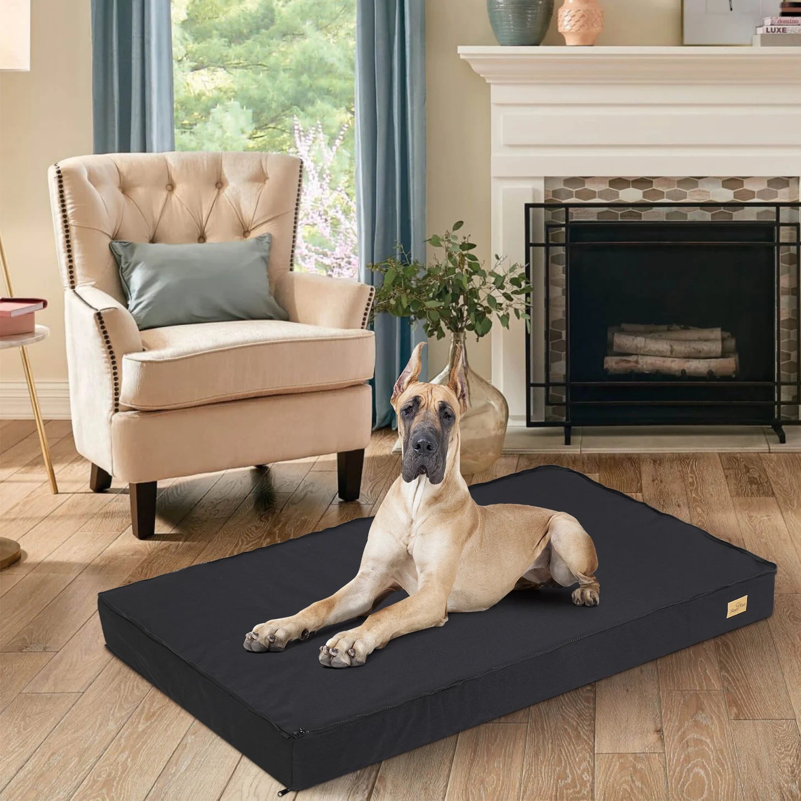 Dog Bed Jumbo Orthopedic