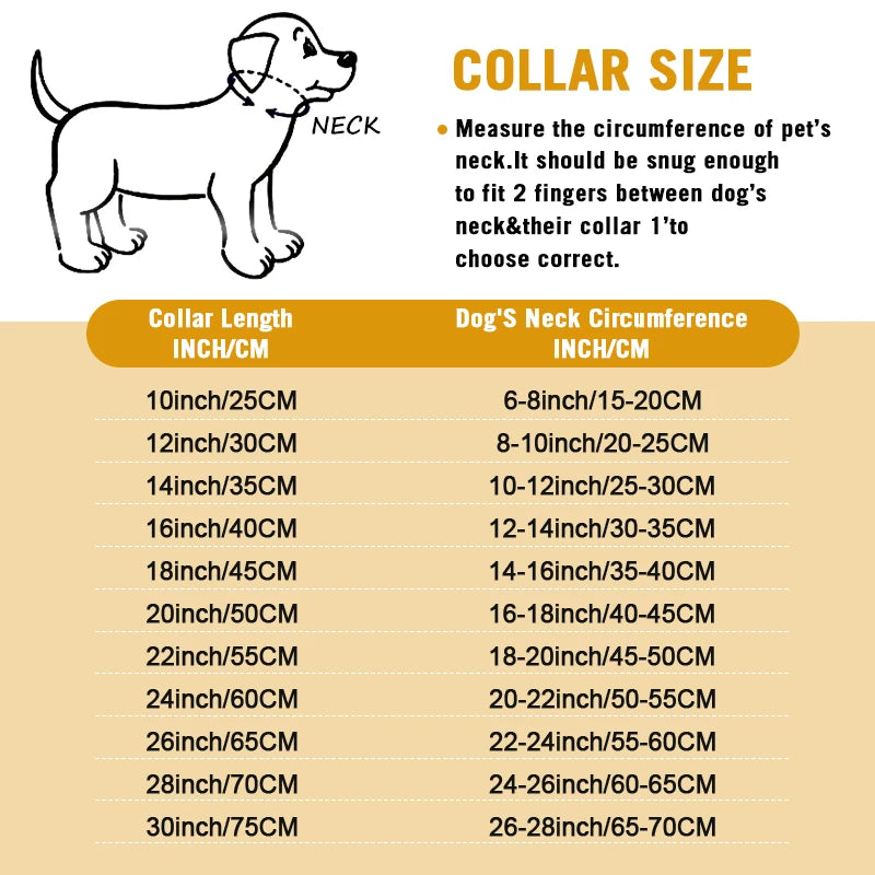 Stainless Large Collar Chain