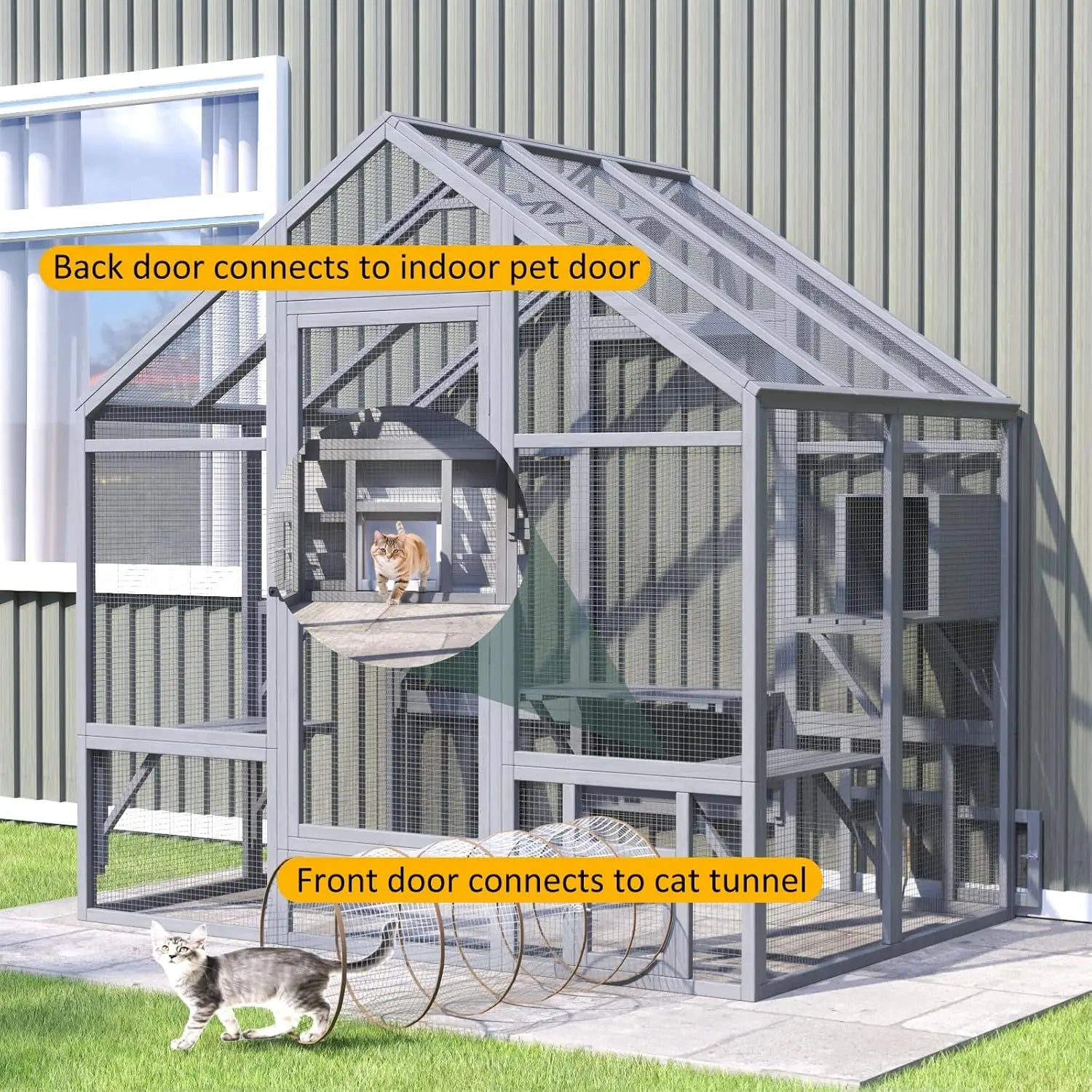 Cat Enclosure