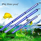 Aquarium Light/Blue Spectrum Leds