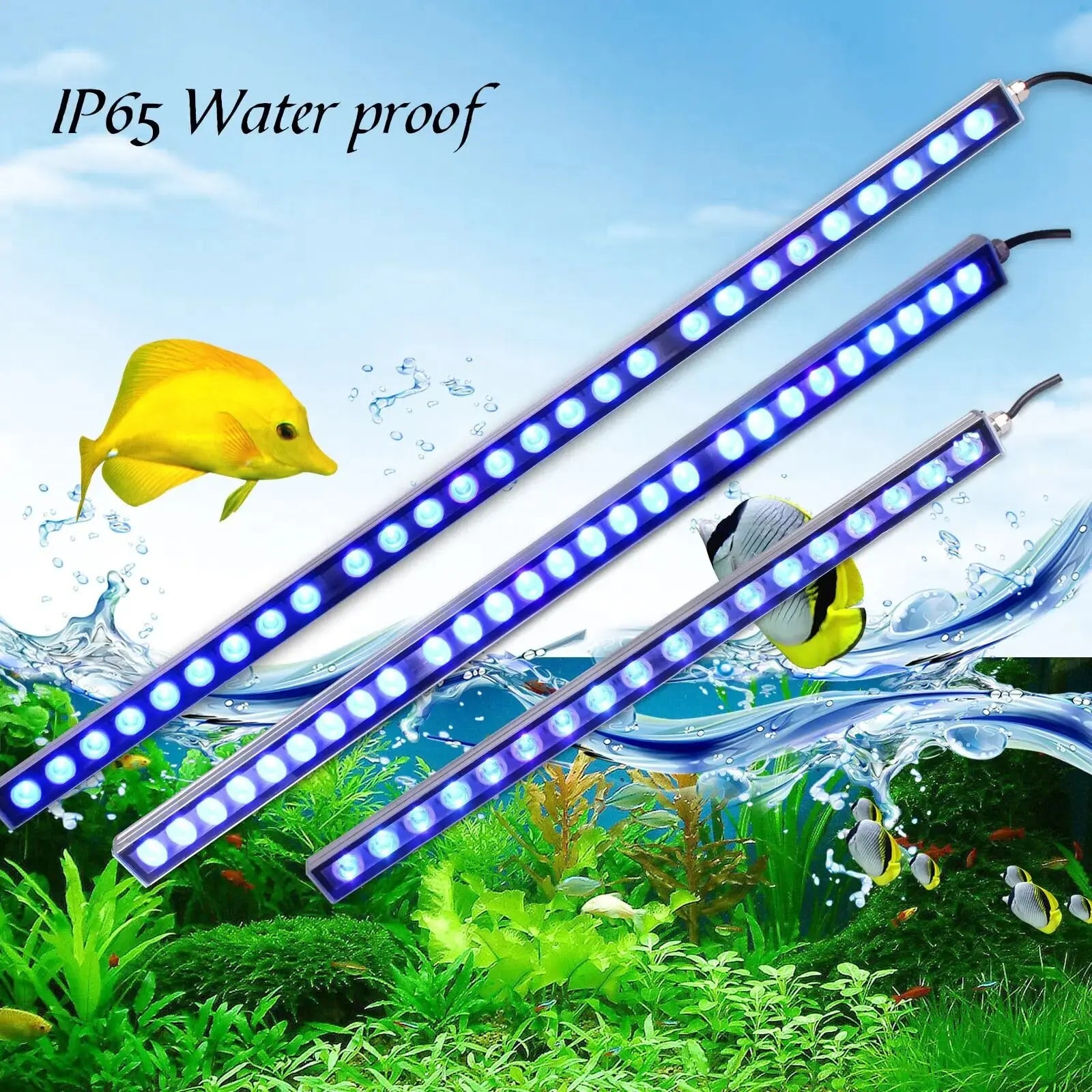 Aquarium Light/Blue Spectrum Leds