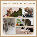 46 In Scratching Cat Tree