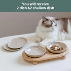 Raised Ceramic Cat Dishes