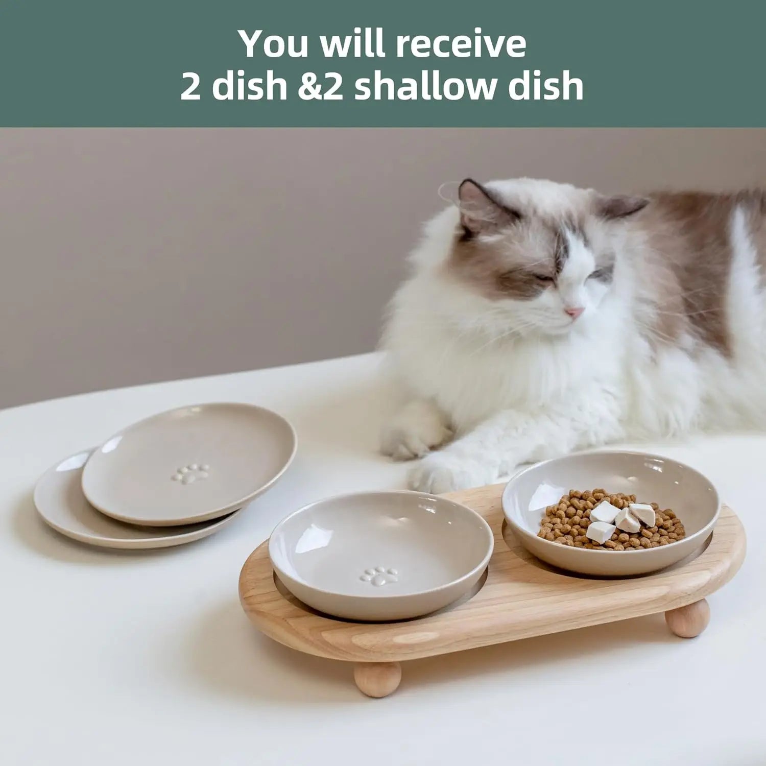 Raised Ceramic Cat Dishes