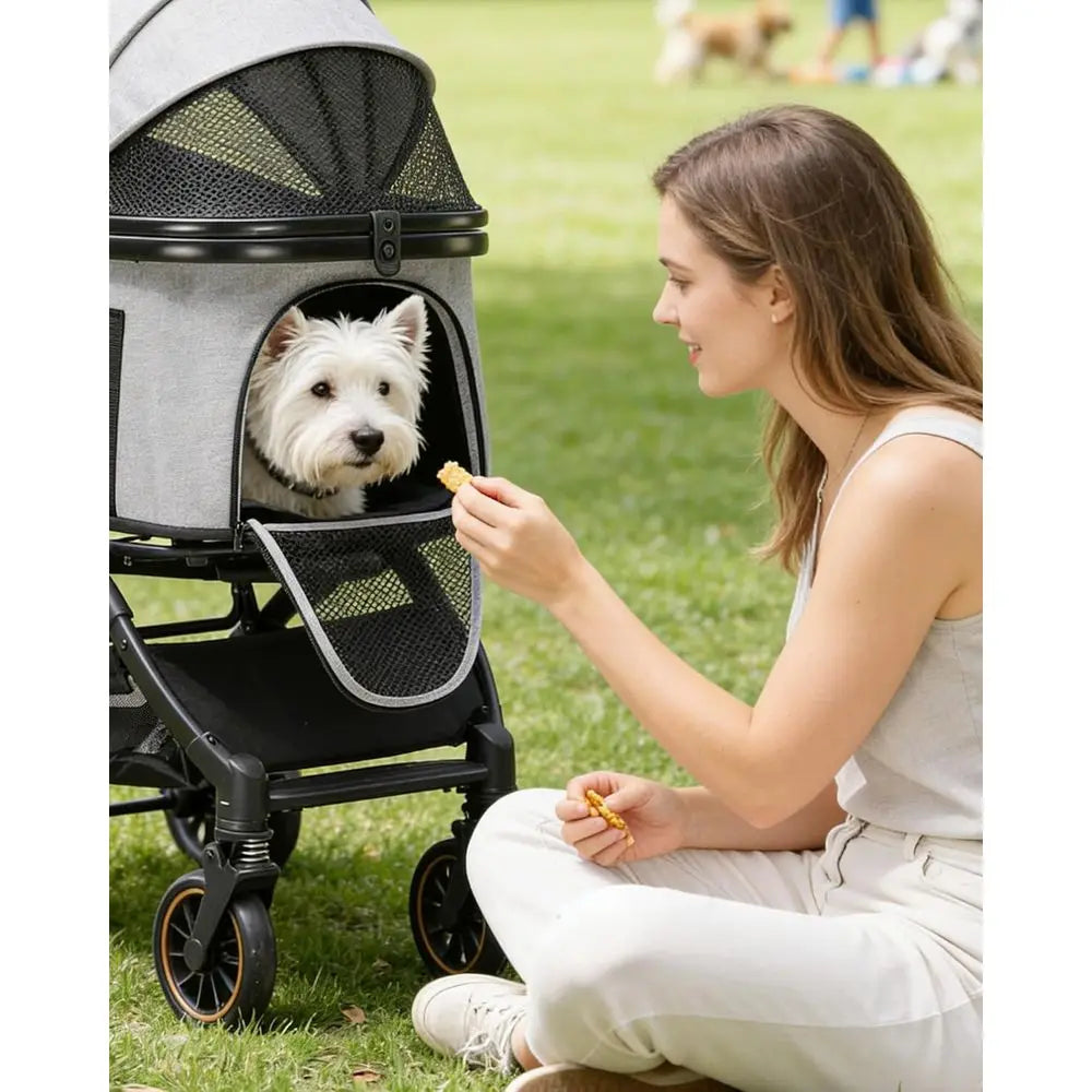 Stroller for Dogs & Cats, 3-in-1