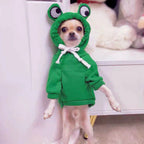 Cute Fruit Dog Clothes