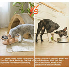 Raised Cat Feeder