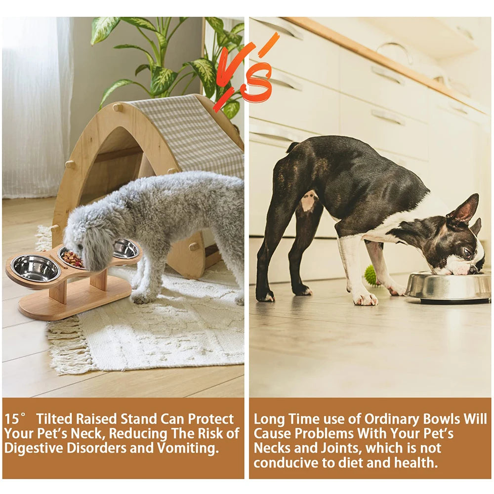 Raised Cat Feeder