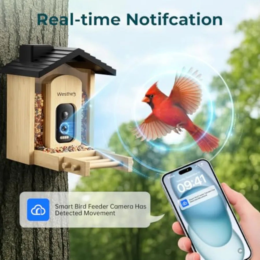 Bird Feeder with Camera
