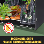 Reptile Tank Terrarium