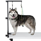 Pet Grooming Arm with Clamp