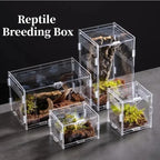 Reptile Habitat Breeding Box