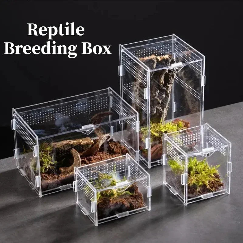 Reptile Habitat Breeding Box