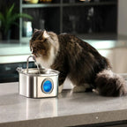 Stainless Steel Pet Water Feeder
