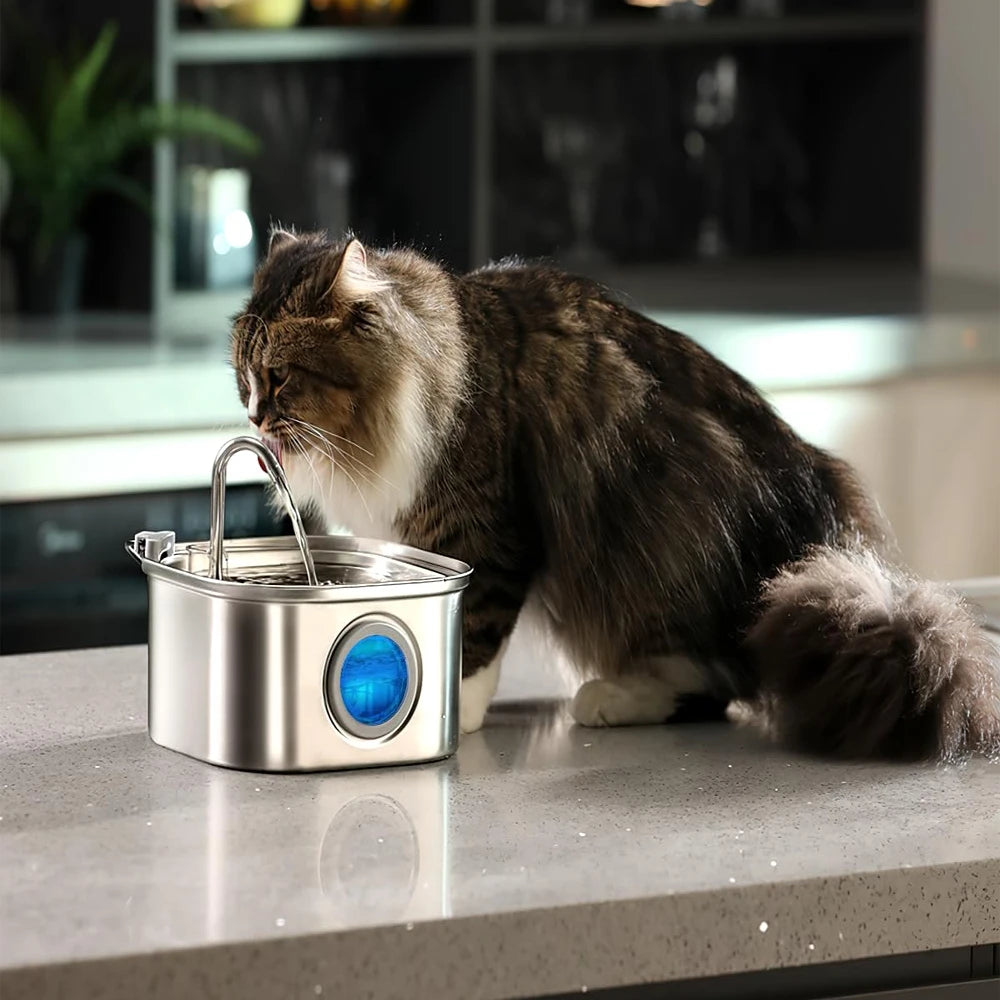 Stainless Steel Pet Water Feeder