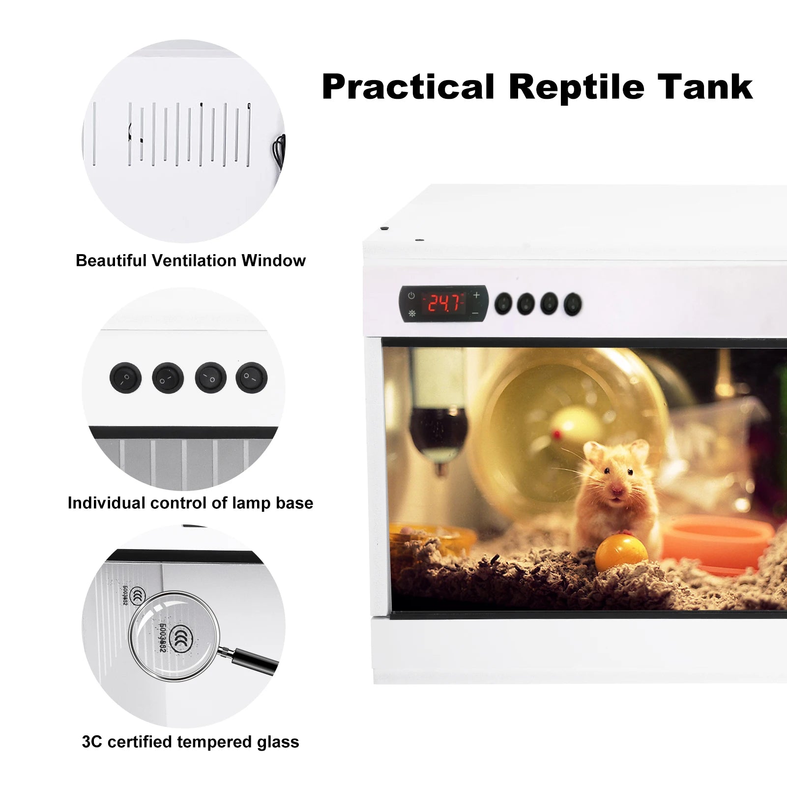Reptile Enclosure