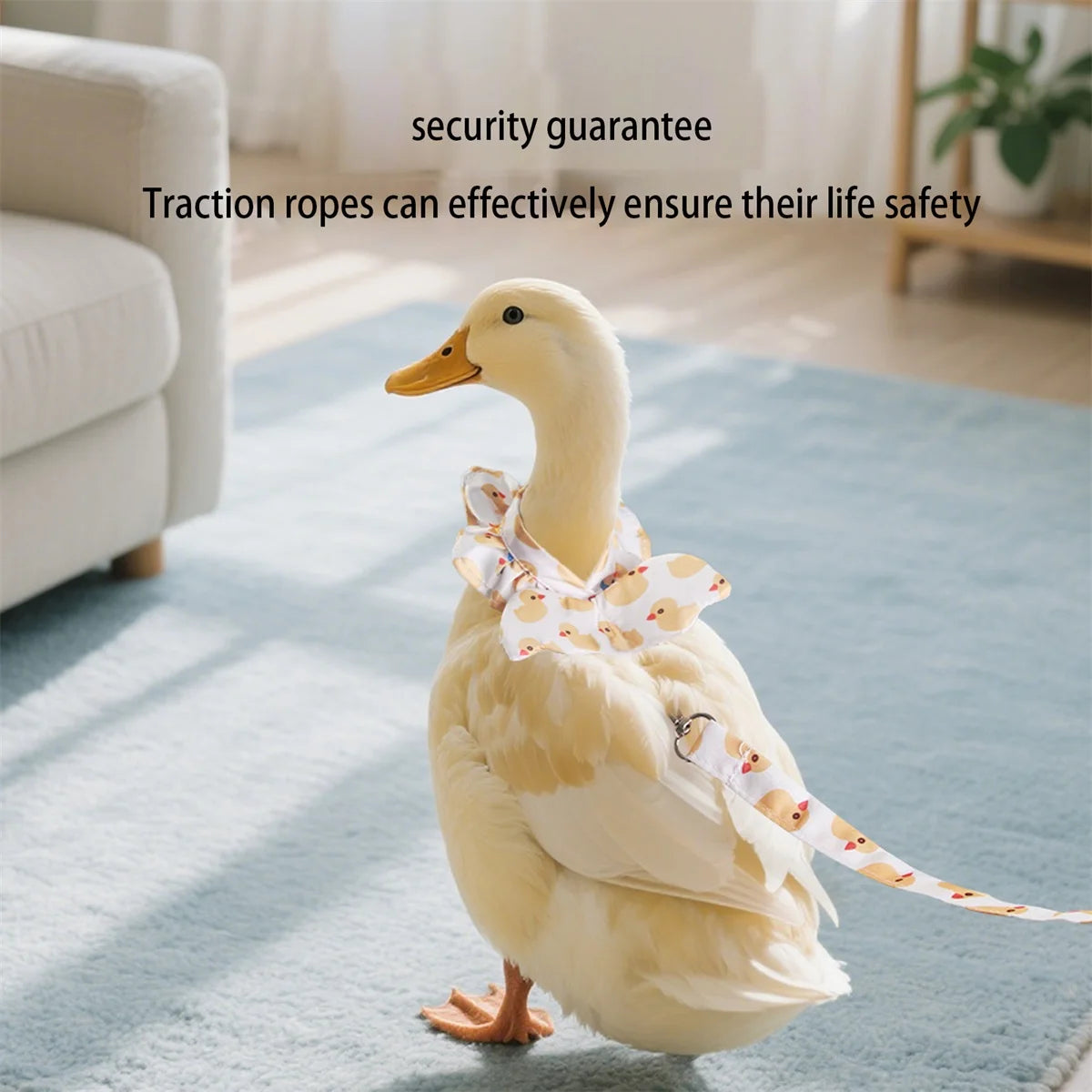 Goose Chicken Duck Harness