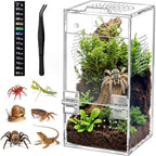 Jumping Spider Enclosure