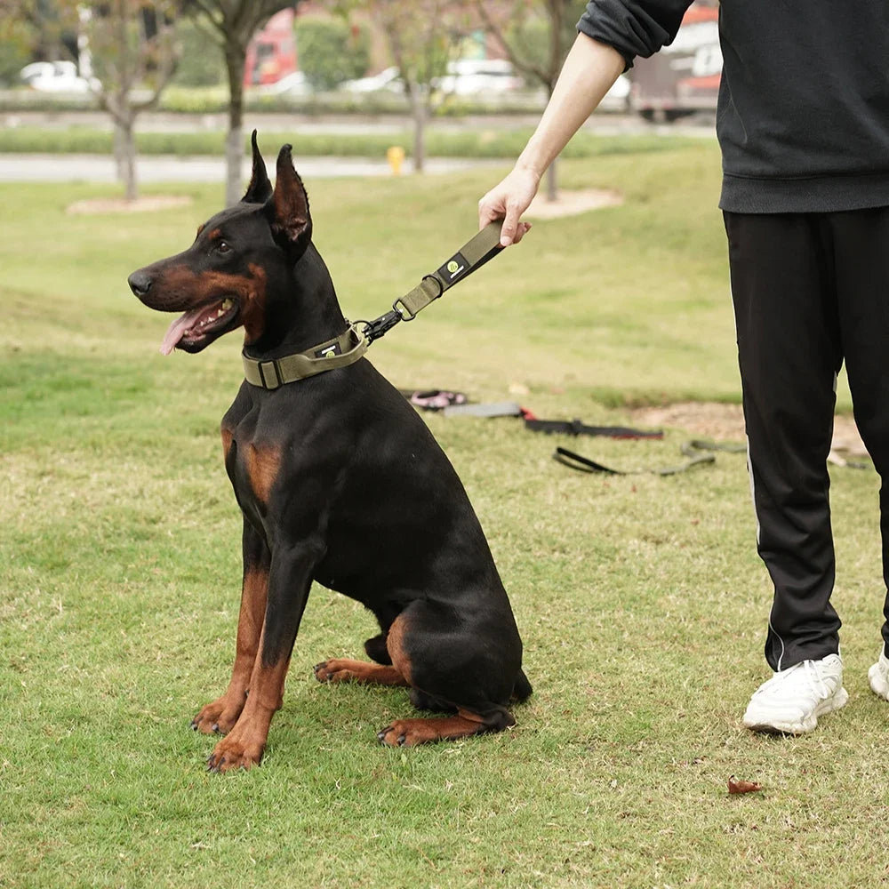 Short Dog Leash Traffic