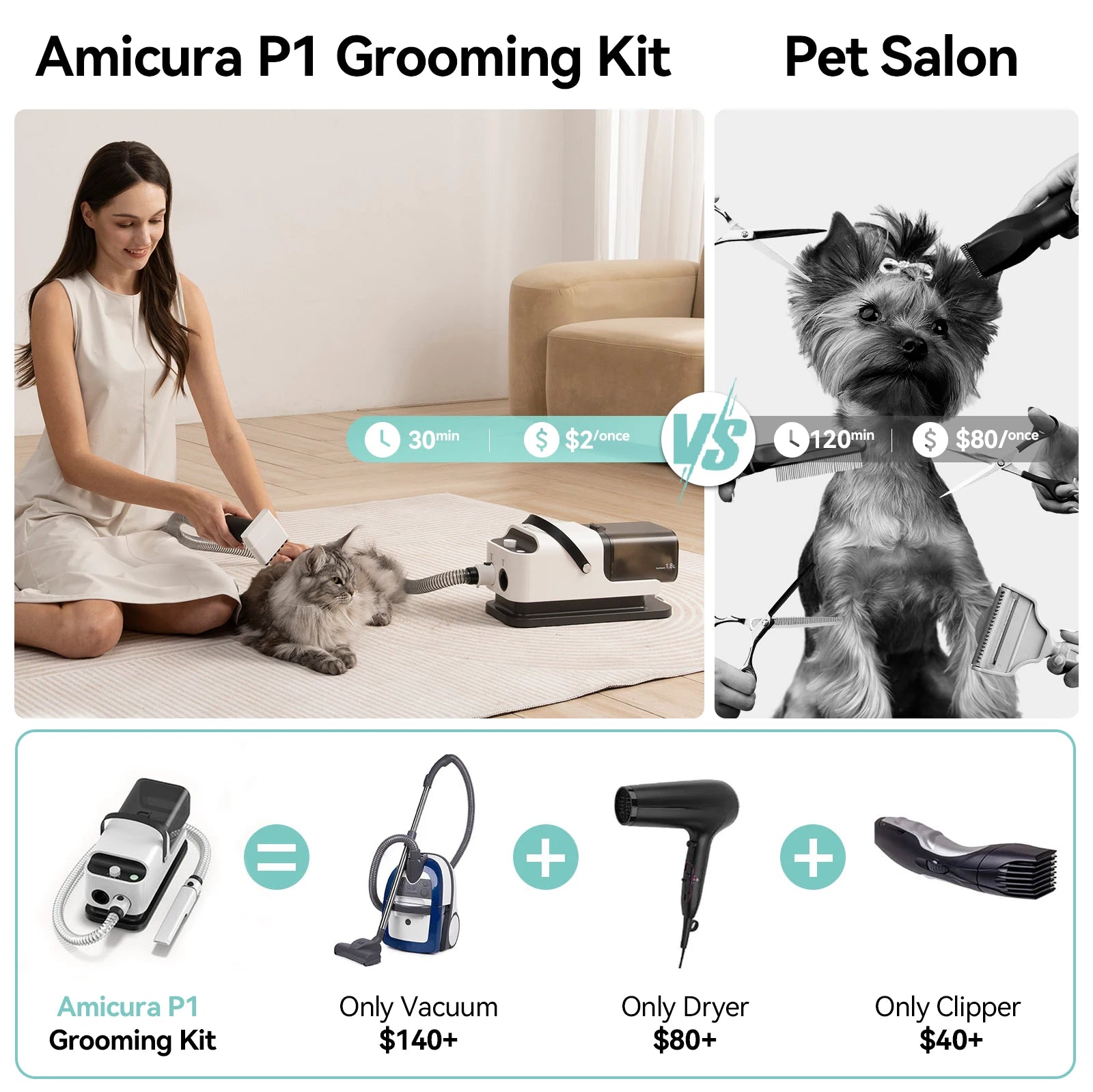Vacuum Cleaner/Hair Dryer