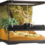 Terrarium for Small Reptiles/Amphibians