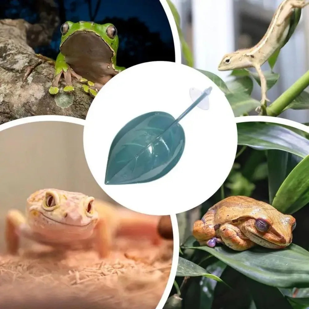 Frog Habitat Leaf Suction Cups