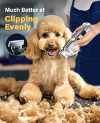 Low Noise Cordless Dog Clippers