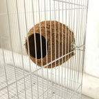 Hideaway Birds/Reptile