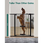 Extra Tall Gate/Cat Door