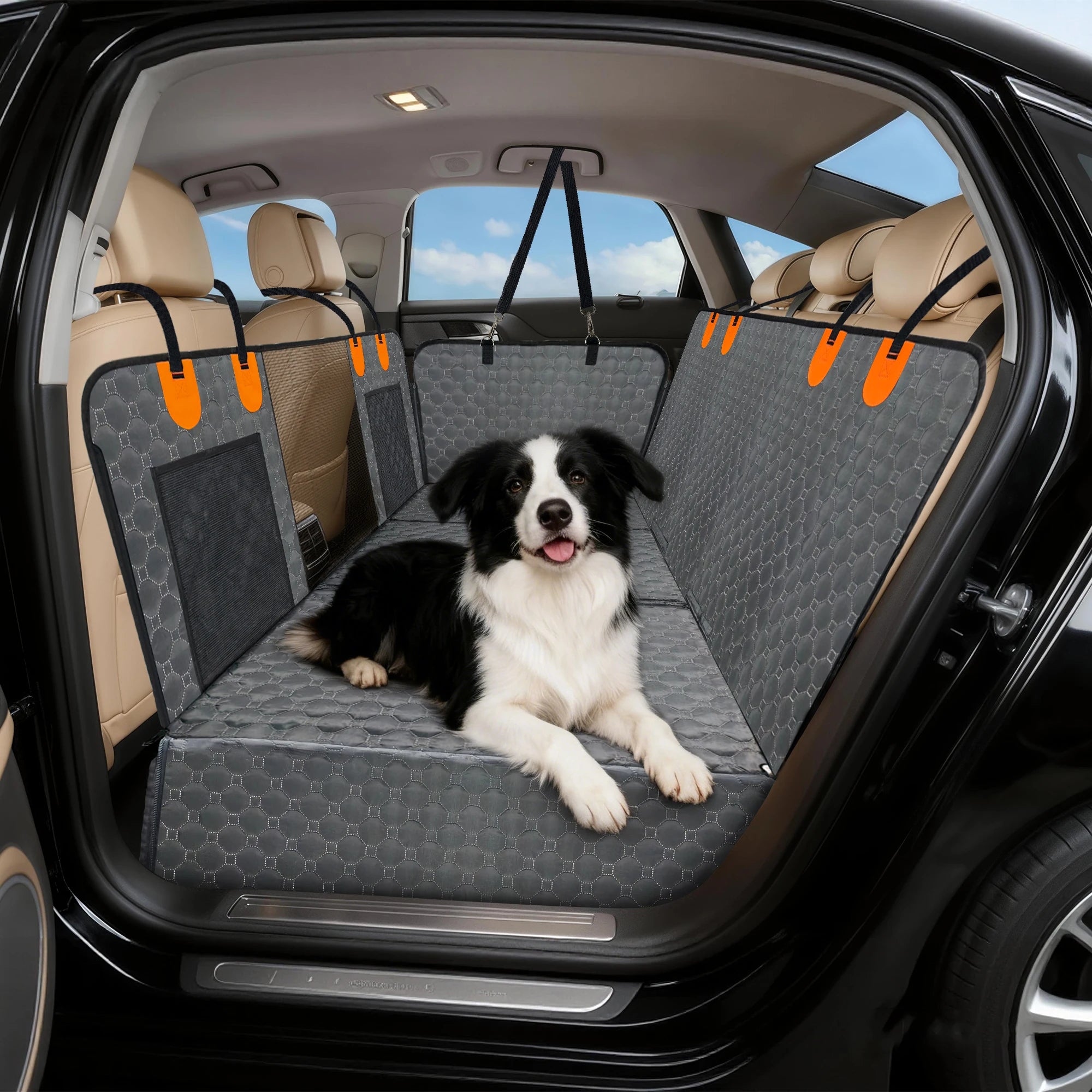 Back Seat Extender for Dog