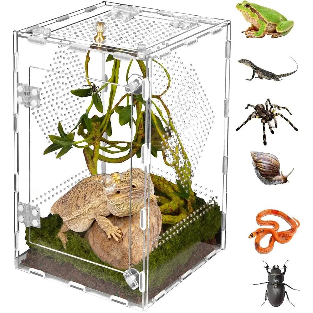 Acrylic Reptile Terrarium