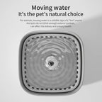 Filter-Water Fountain Auto Recirculate