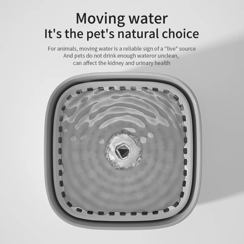 Filter-Water Fountain Auto Recirculate