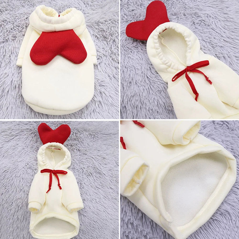 Cute Fruit Dog Clothes