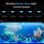 95W Aquarium Light with Timer