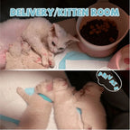 Pet Playpen