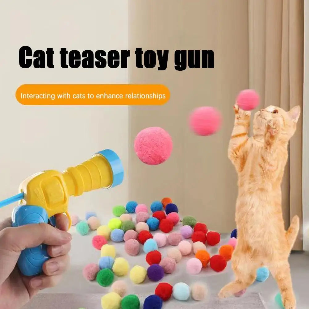 Launch Training For Kittens