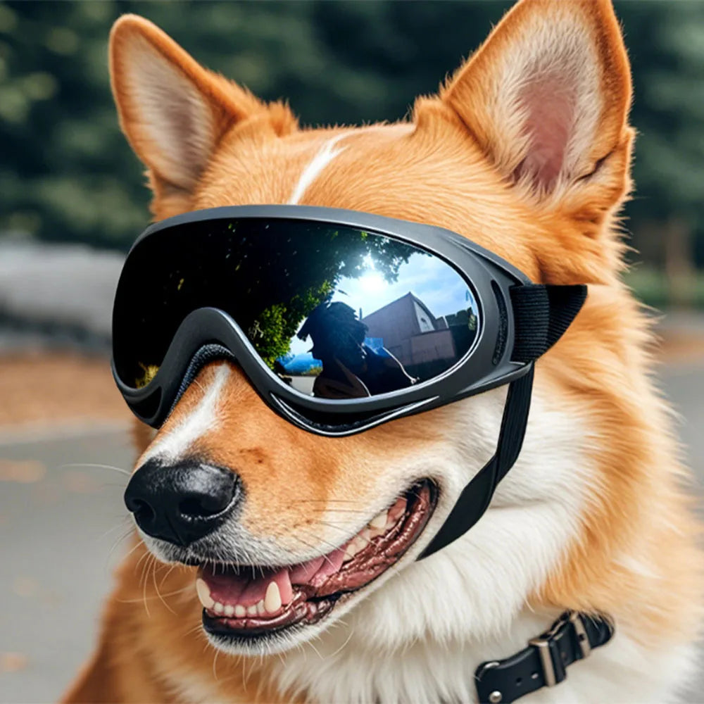 Dog Glasses Adjustable Pet Goggle