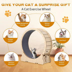Exercise Wheel for Indoor Cats