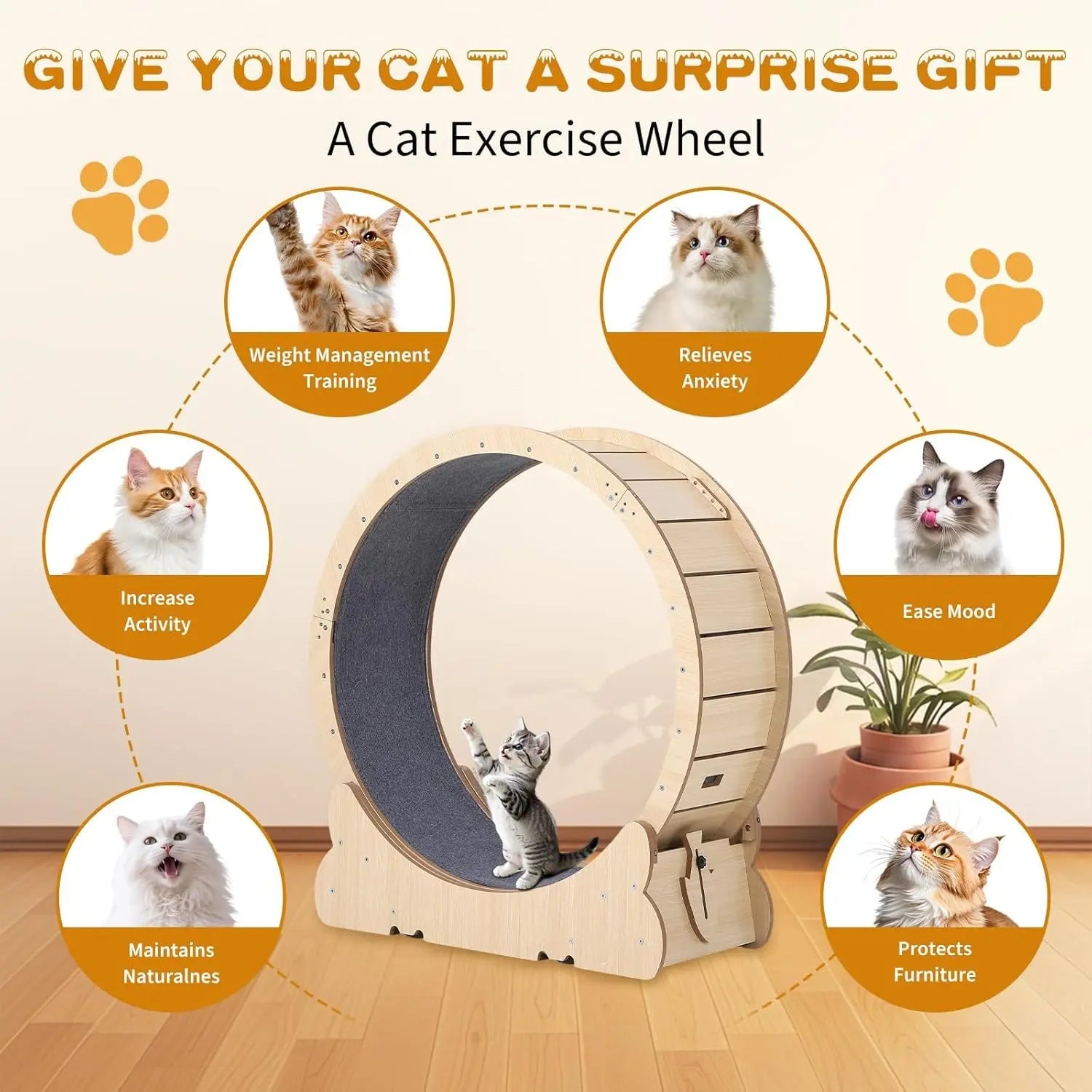 Exercise Wheel for Indoor Cats