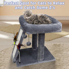 Cat Tree/Scratching Post
