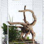 Acrylic Clear Reptile Habitat Enclosure